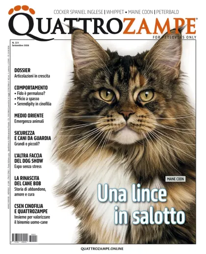 Quarter Horse Journal (Tedesco)