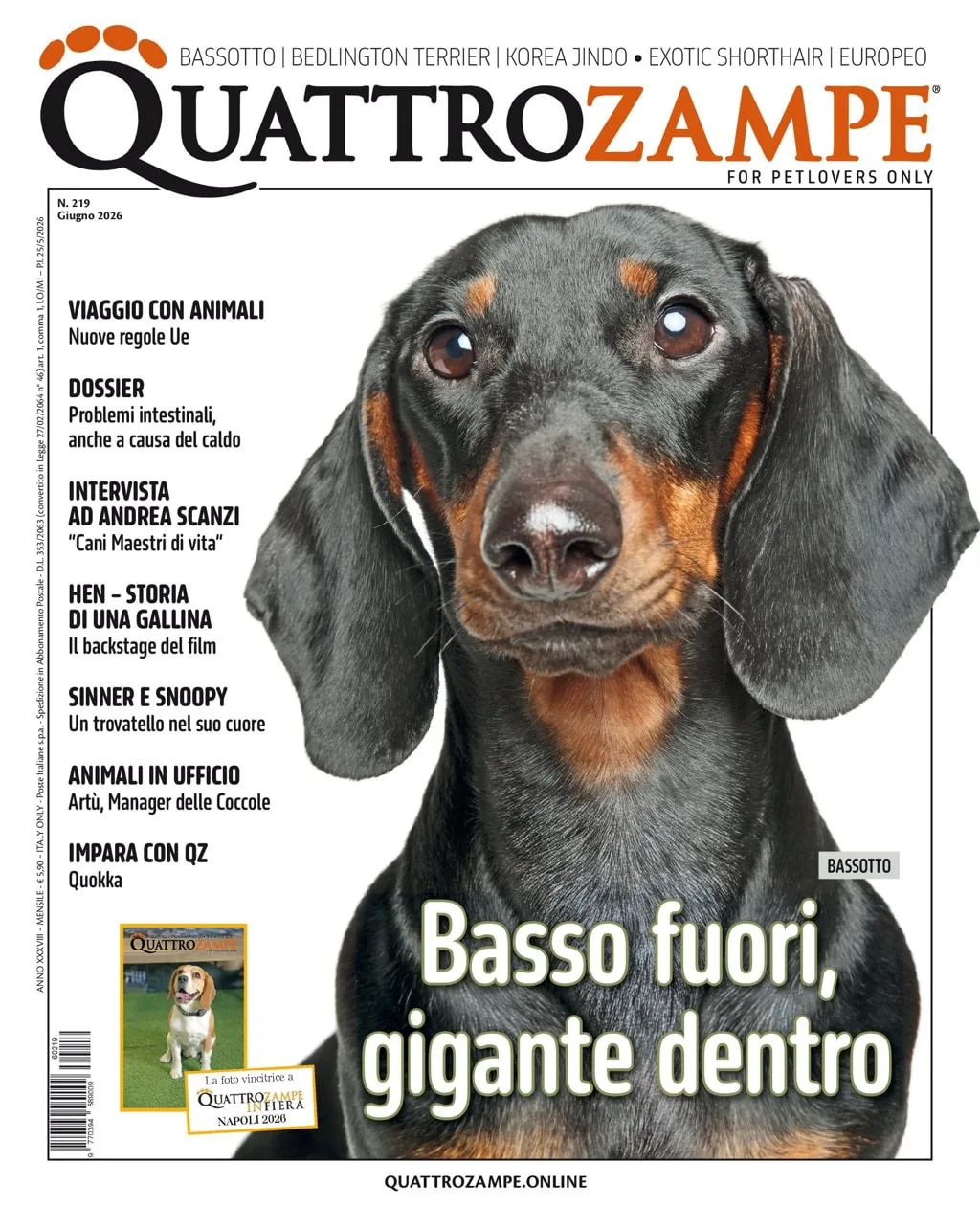 Quarter Horse Journal (Tedesco)