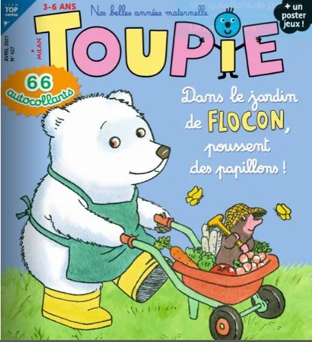 Toupie Maxi Jeux (Francese)