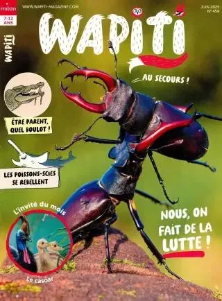 Wapiti (Francese)