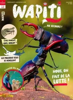 Wapiti (Francese)