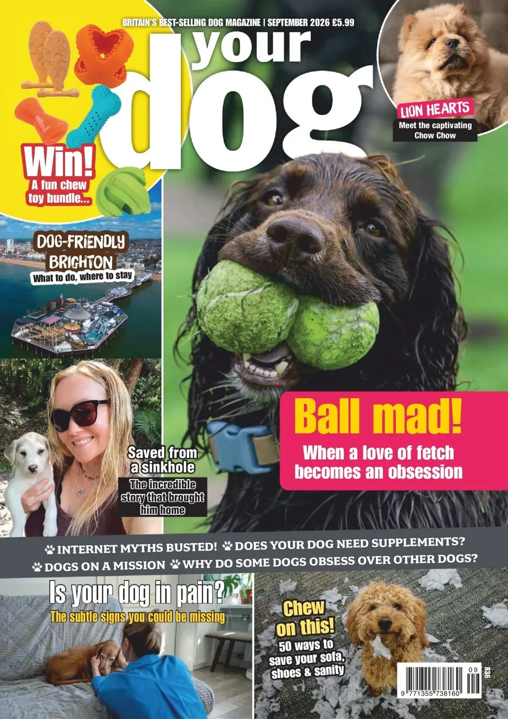 Your Dog Magazine